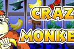 ігровий автомат Крейзі Манкі
