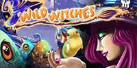 wild-witches