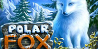 polar-fox